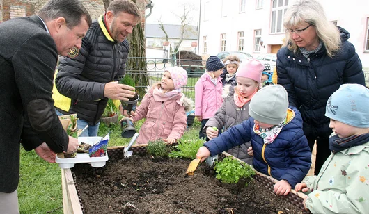 EMS_Teichspatzen_Hochbeet