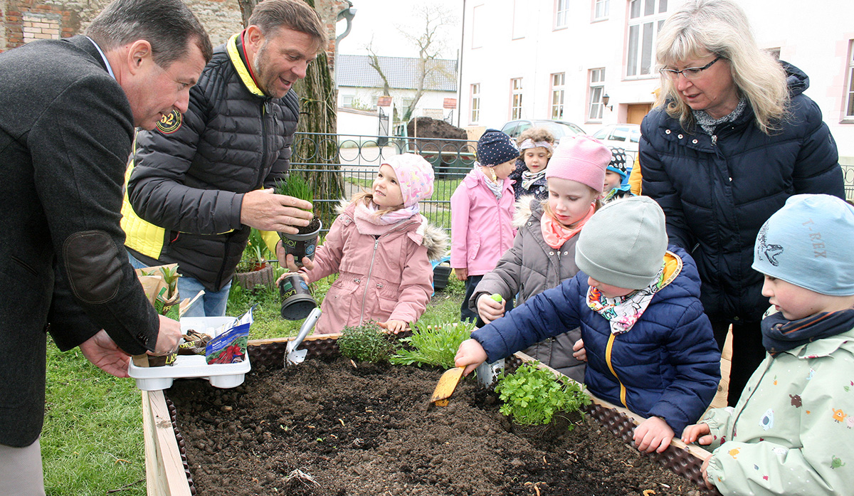 EMS_Teichspatzen_Hochbeet